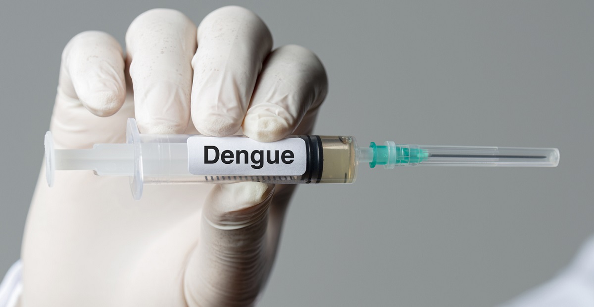 Dengue no Brasil: Sintomas, Tratamento, Dieta e Prevenção Completa