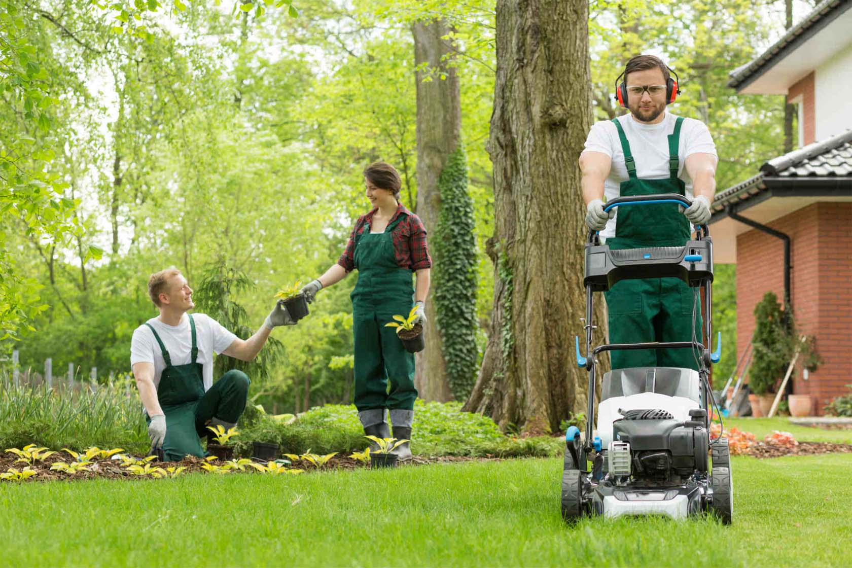 How to Choose the Best Lawn Service Company – Costs, Services & Expert Tips