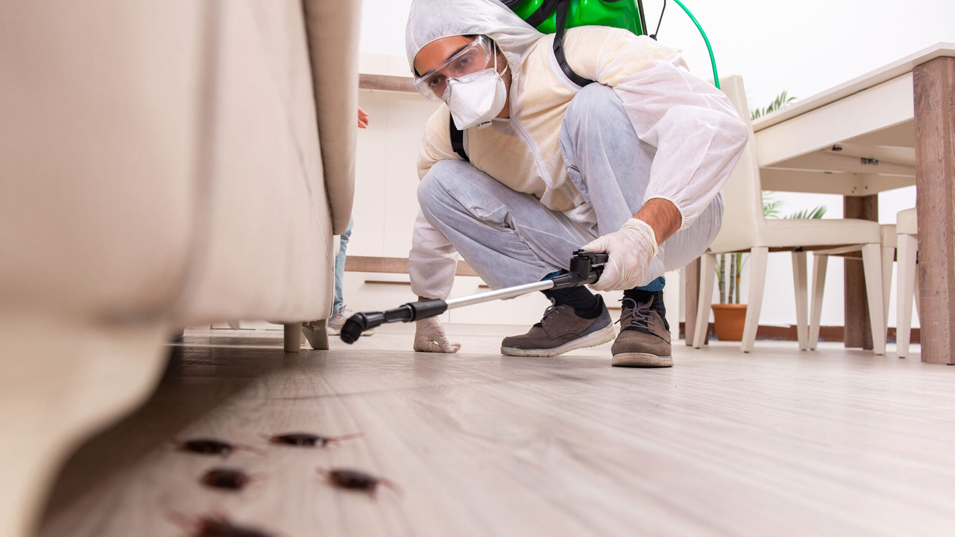 Ultimate Guide to Home Pest Control: Identification, Health Risks, and Emergency Solutions