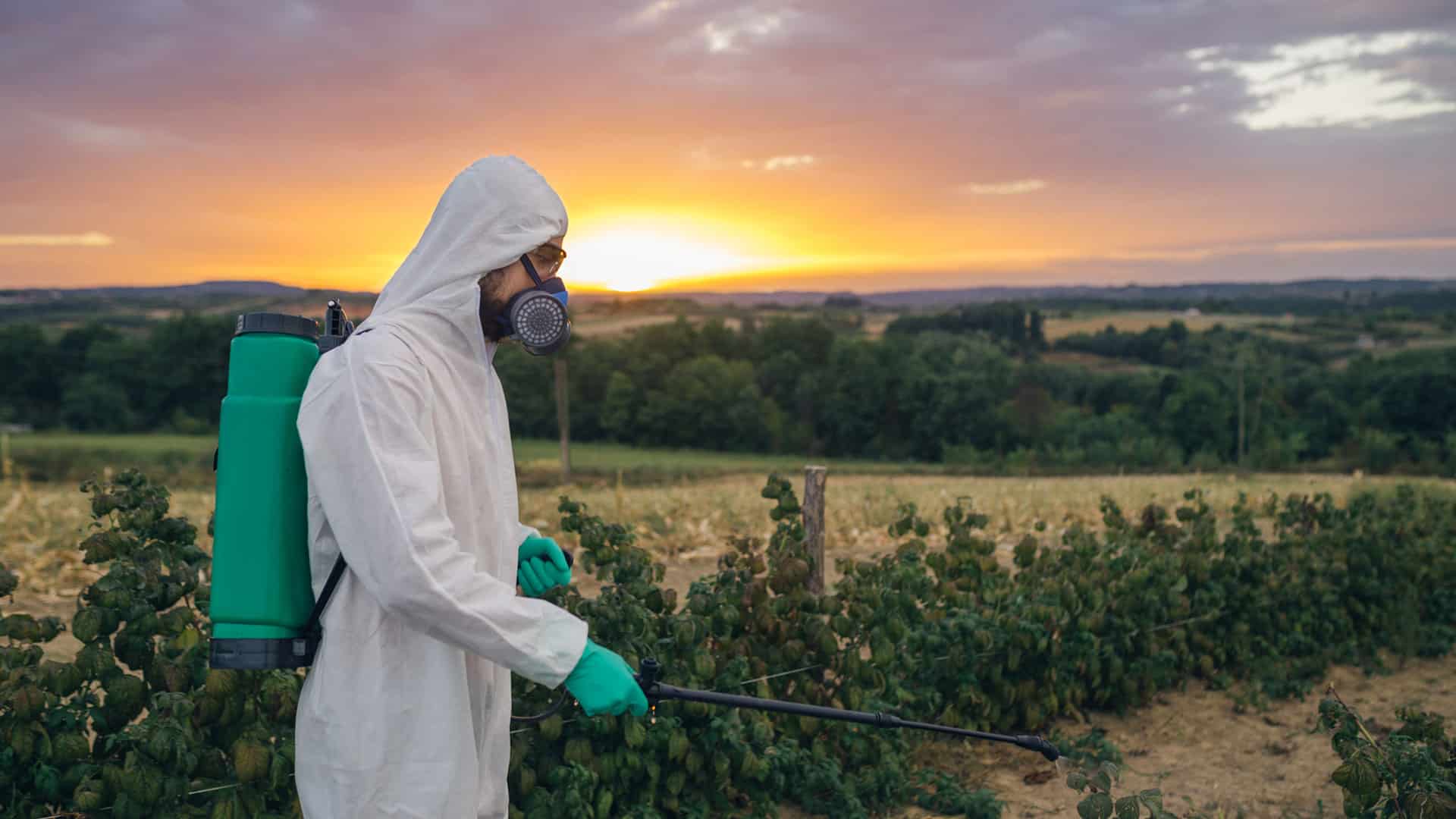 Pest Control Scheduling Software: Key Features, Selection Tips, and Real-World Applications