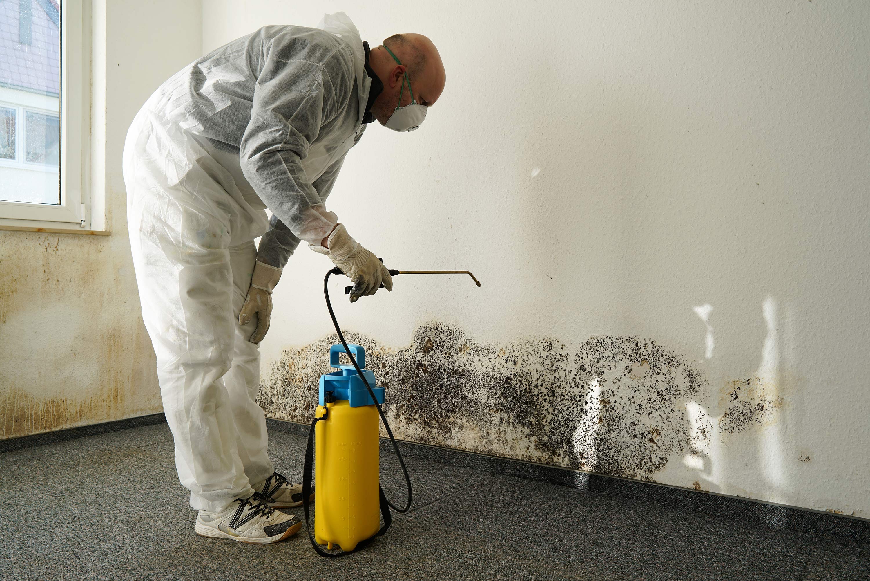 Modern Mold Remediation: AI, Eco-Methods, ERMI, and Market Projections
