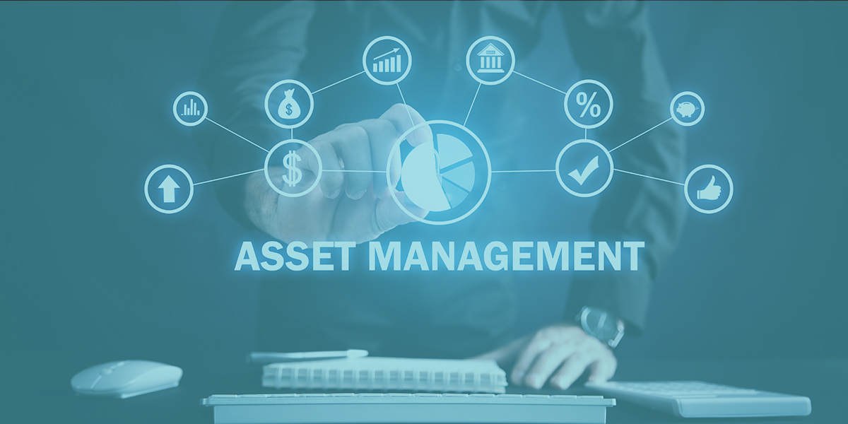 Gestion d'Actifs : Solutions Logicielles, Innovations et Erreurs à Éviter