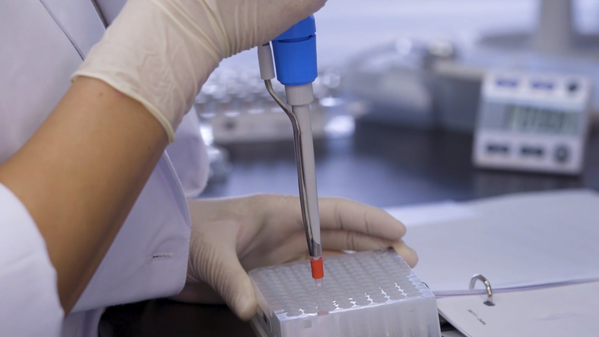 From DNA Blueprint to Protein Function: A Guide to Sequence Analysis & Its Modern Applications