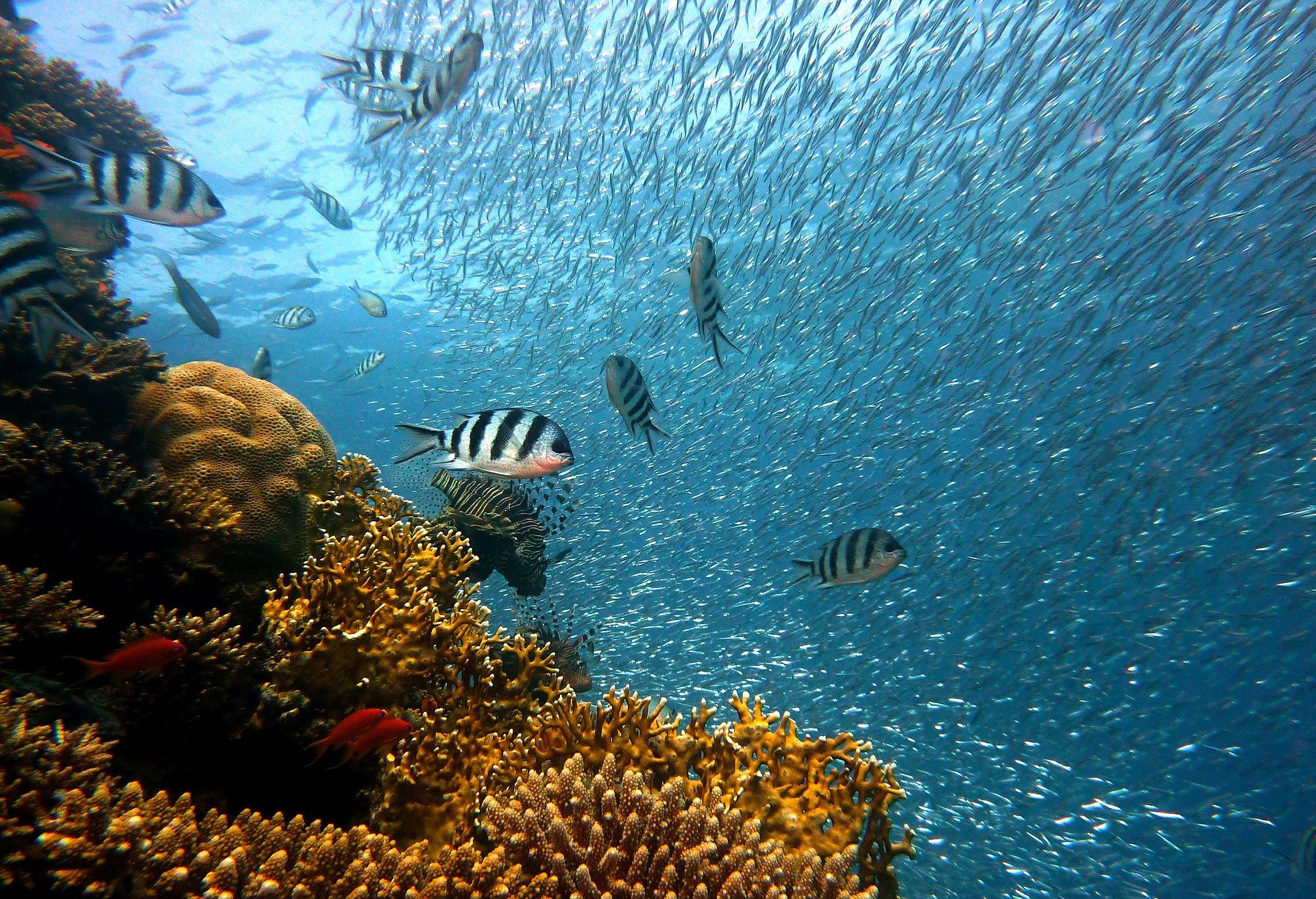 How Ocean Currents Drive Climate and Why They're Changing