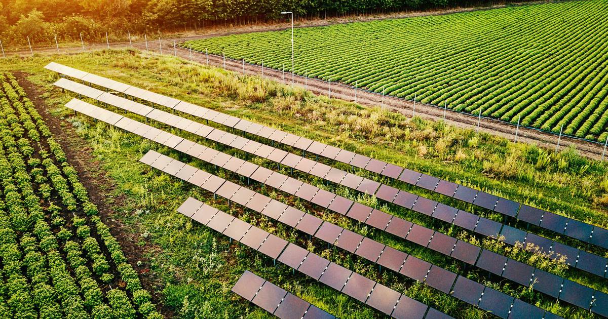 Regenerative & Climate-Smart Agriculture: Soil Health, Carbon Farming, and Digital Innovations