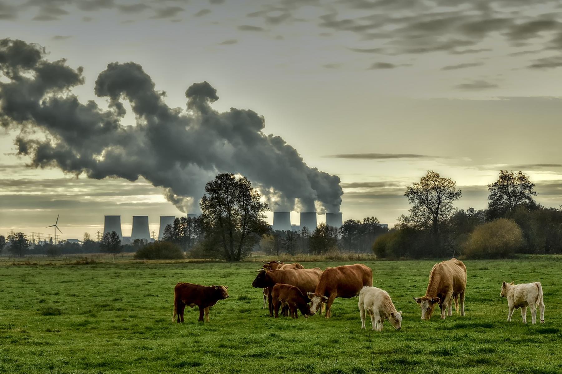 From Water to Air: The Interwoven Hazards of Environmental Pollution and Regulation