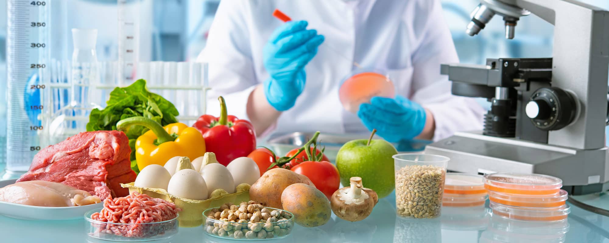 Calorie Balance Meets Dietary Fiber: The Magic of Metabolic Harmony