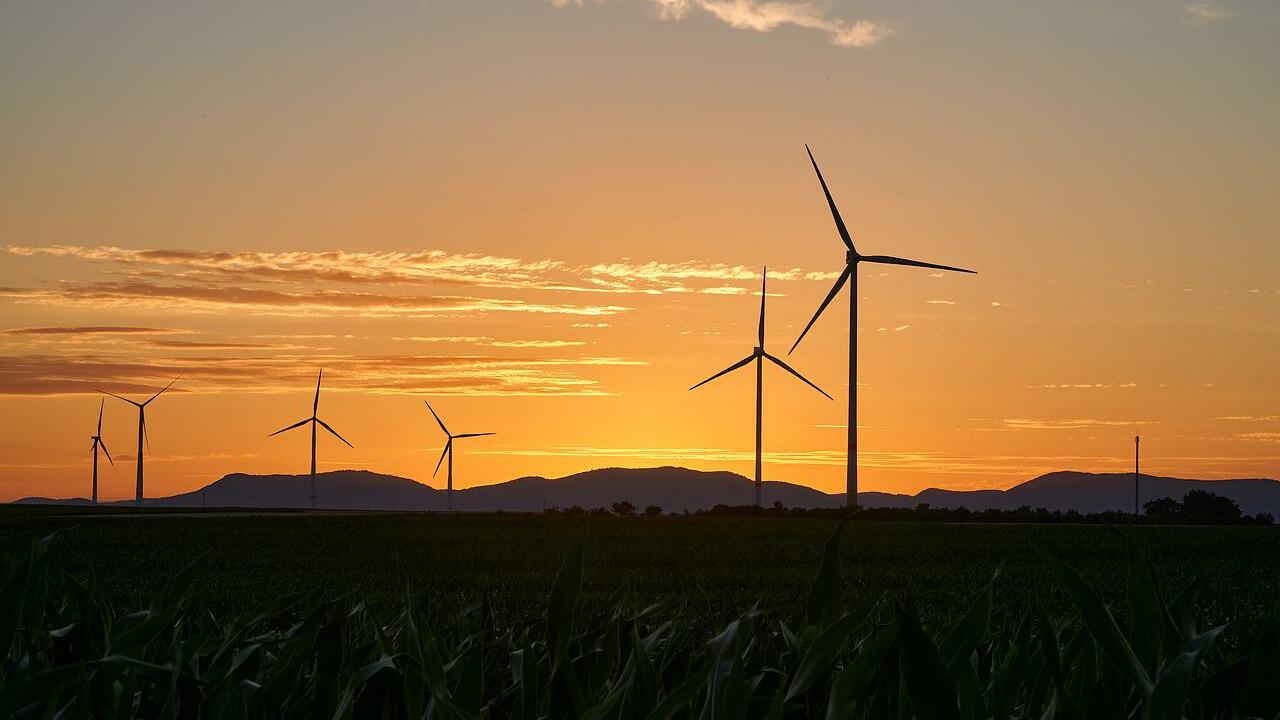 Renewable Energy Myths and Innovations: Smart Grids, Biofuels, and Policy Insights