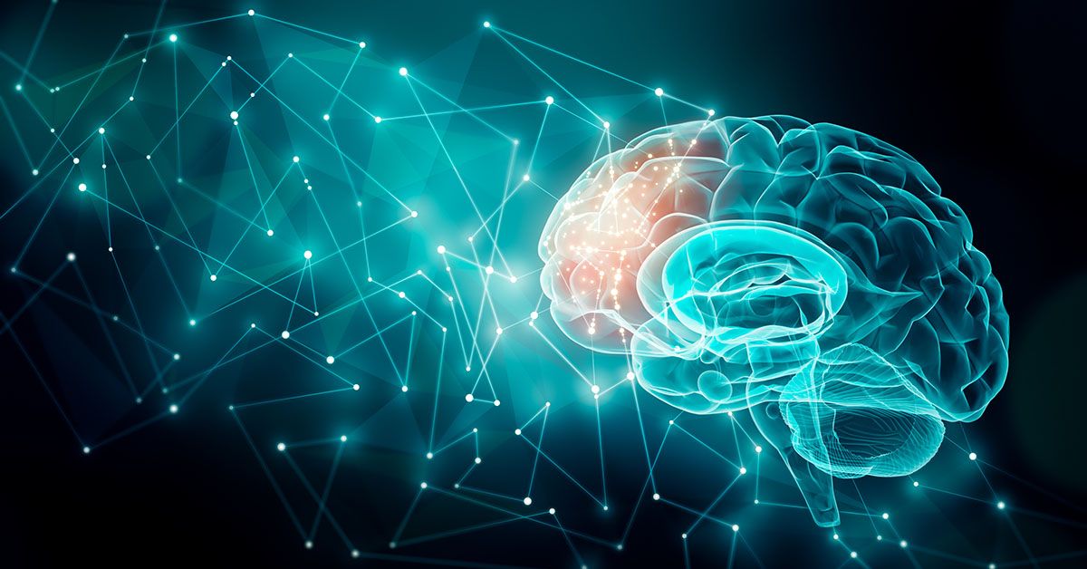 How the Brain Communicates: Neurons, Memory, and Brain-Computer Interfaces
