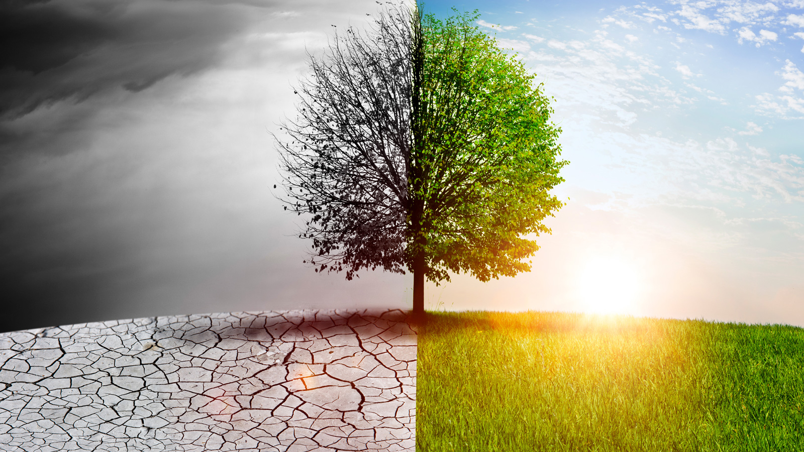 From Greenhouse Gases to Extreme Weather: Tracing the Climate Change Pathway