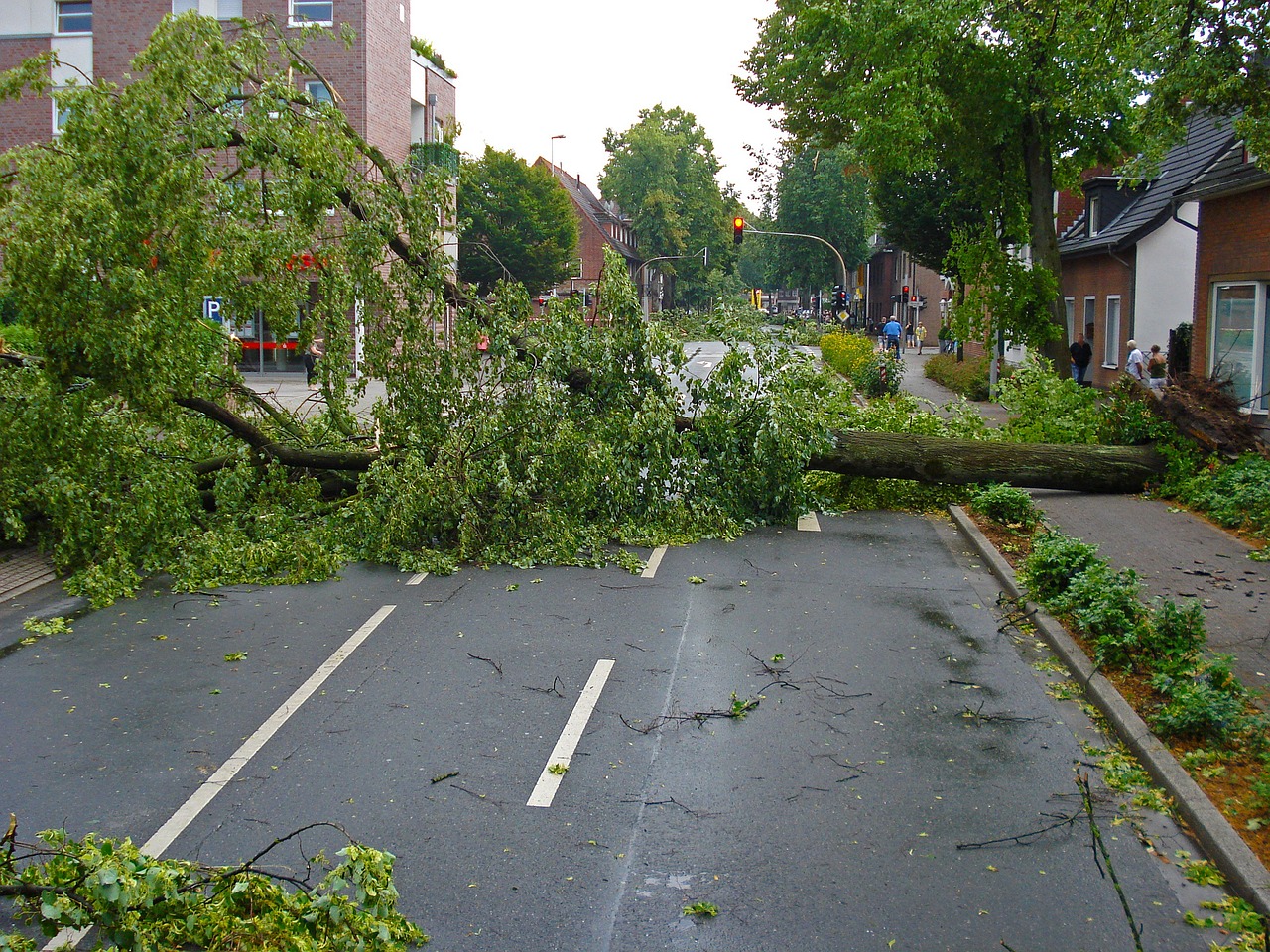 AI-Driven Solutions for Power Grid Resilience in Extreme Weather