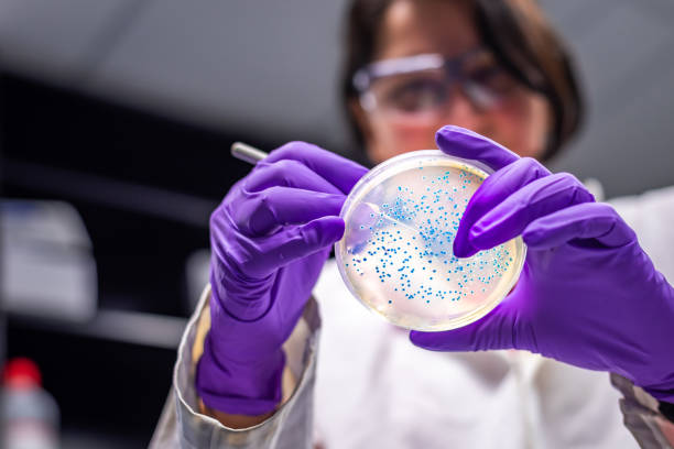 How Gut Microbiota Shapes Weight Loss: New Strategies Beyond Diet and Exercise