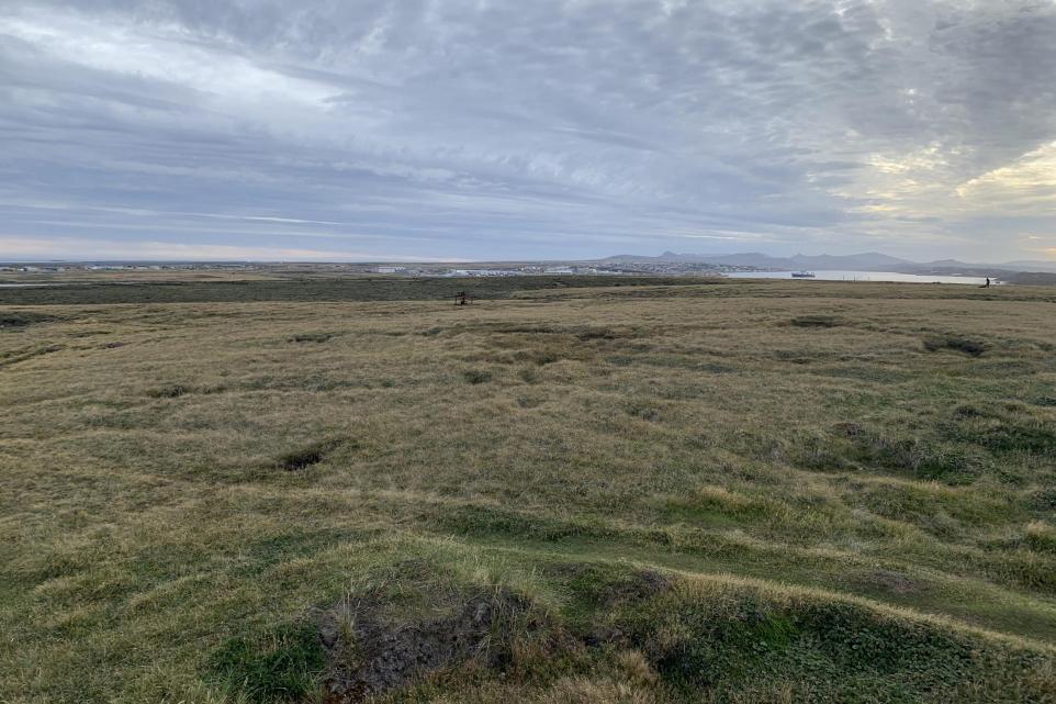 15–30 Million Year Old Rainforest Fossils Discovered Beneath Falkland Islands