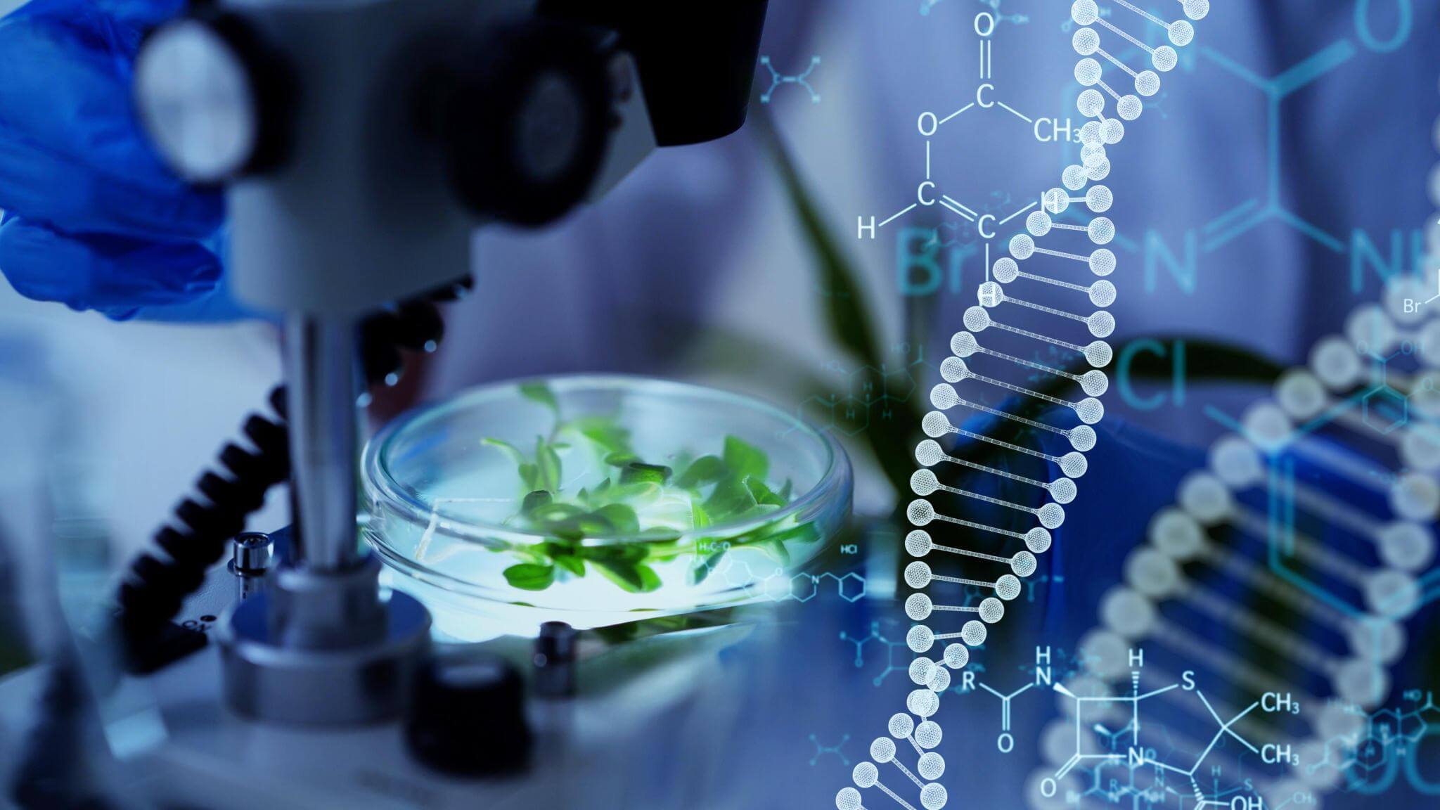 Advancing Biotechnology: CRISPR, Synthetic Biology, and Personalized Medicine in Pharma and Agriculture