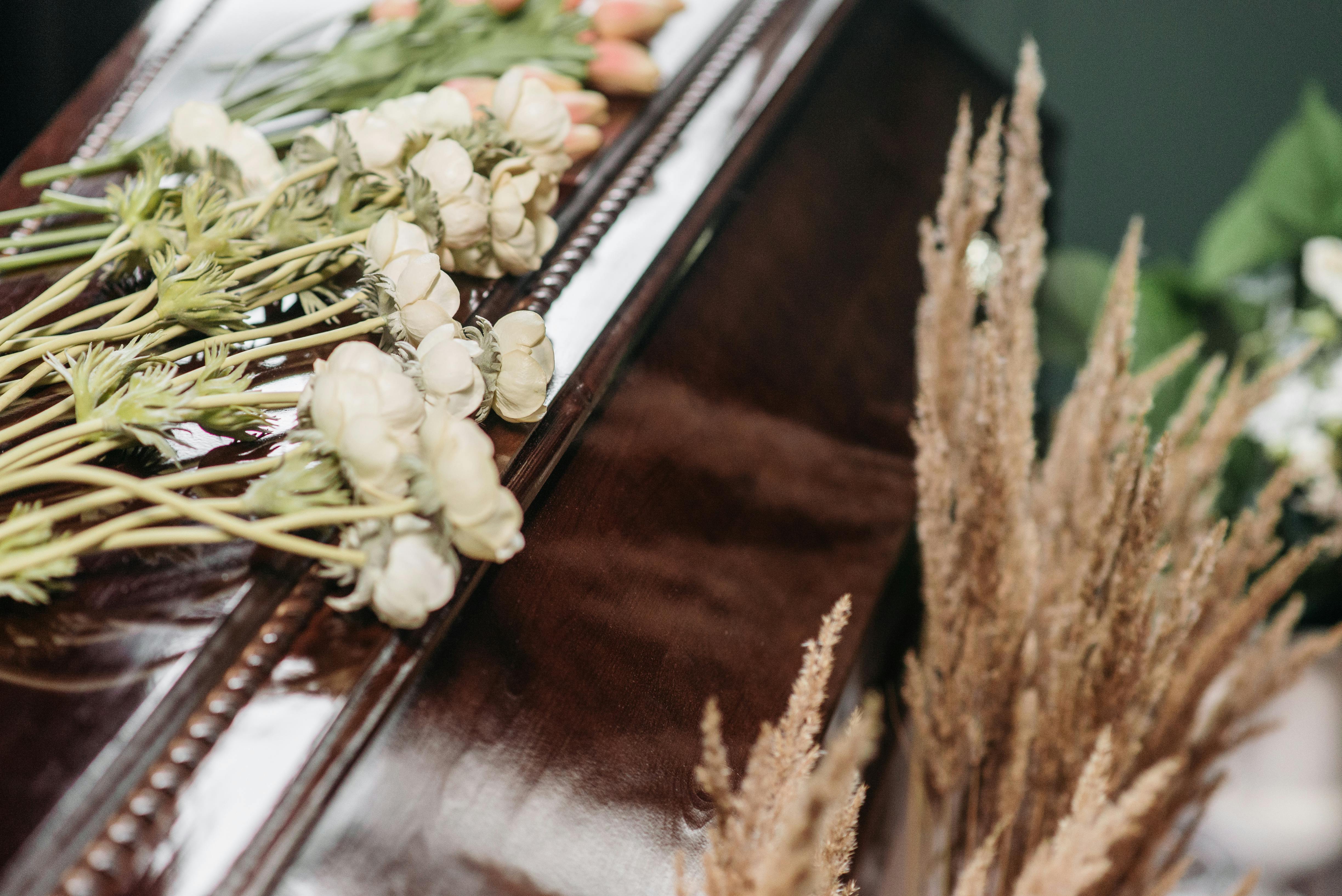 Cremation Guide: Process, Costs, Environmental Impact & Memorial Options in San Jose