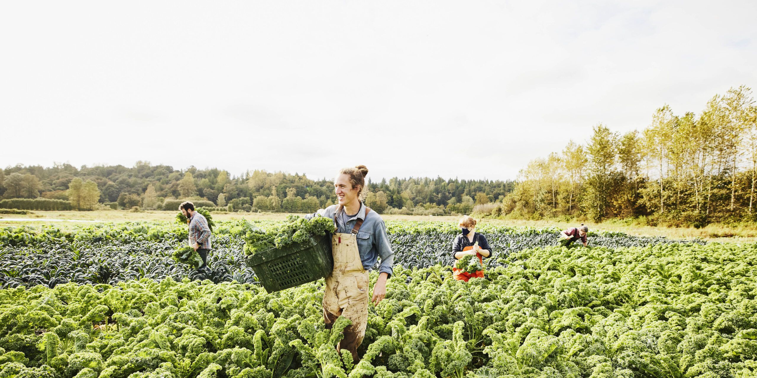 Rethinking Food Systems: From Plant-Based Diets to Lab-Grown Meats