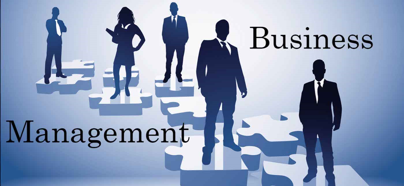 Cómo Elegir tu Grado en Gestión Empresarial en México: Guía 2025