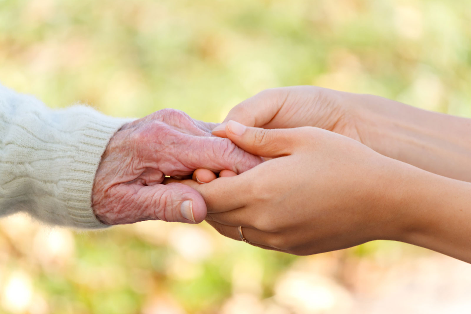 Senior Care Services in the US & Florida: Health, Programs, Providers, and Choosing the Right Care
